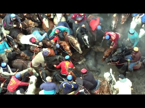 Видео: Өзгөн/ Аламандын азарты 🔥🔥🔥