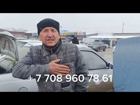 Видео: 03.03.24.Сарыағаш.Жібек жолы құс базары.Тауықтар,қөраздар,куркелер,қаз,уйрек,бөдене,кептер,қоян,ит .