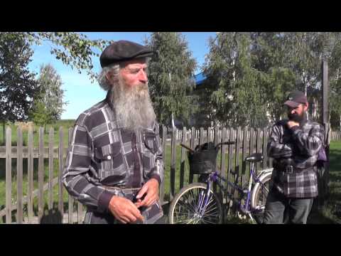 Видео: Пастьба  скота...   хуже некуда"