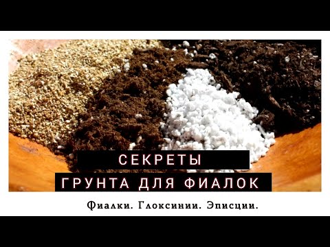 Видео: Фиалки. Секреты приготовления грунта