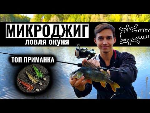 Видео: Осенняя ловля окуня на микроджиг