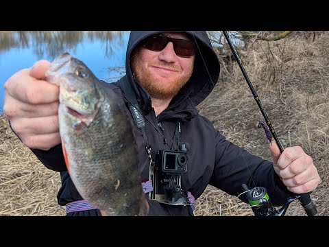 Видео: Весенняя рыбалка с  НЕarionEСТЫМ арионом 742 suls 0.8-5)