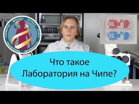 Видео: Что такое Лаборатория на Чипе