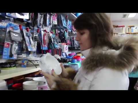 Видео: Поход в зоомагазин