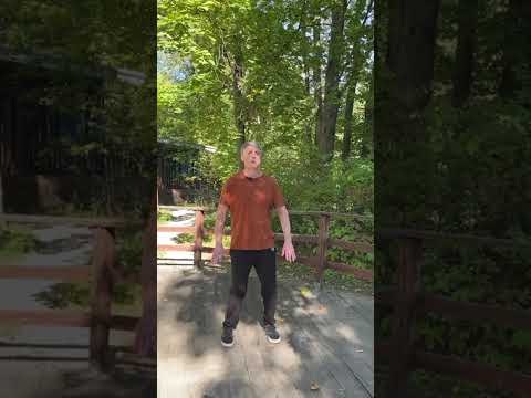 Видео: Видеоурок Начальные упражнения 108 формы, 1 часть