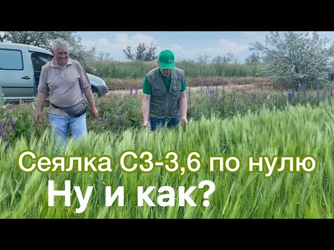 Видео: Как сеялка СЗ-3,6 посеяла по нулю