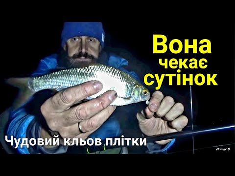 Видео: Риболовля в Києві восени Клює плітка на фідер в листопаді!