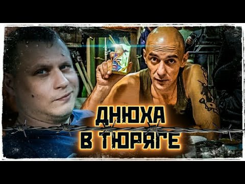 Видео: Как Отмечают День Рождения в Зоне