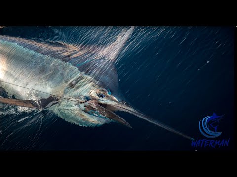 Видео: Эпический улов голубого марлина весом 800 фунтов | Waterman S01E01 | Видения Грандерса