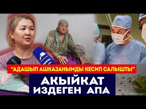 Видео: “Дарыгер адашып, ашказанымды кесип салыптыр” /Акыйкат издеген 73 жаштагы апа / Сокол Медиа
