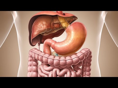 Видео: ЖКТ - всё начинается здесь. Что ваш организм пытается сказать.