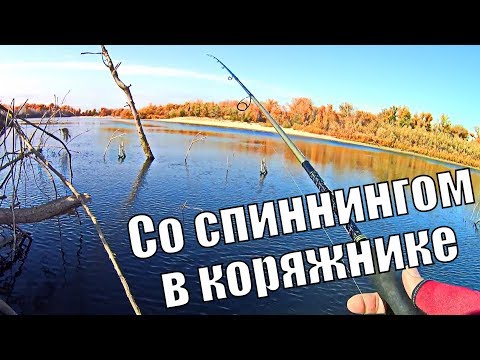 Видео: В этом КОРЯЖНИКЕ кипит ЖИЗНЬ. Рыбалка со спиннингом на реке Ахтуба