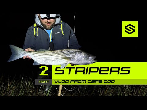 Видео: 🎣 VLOG – Ловля полосатых рыб – Часть 2 | Кейп-Код, США