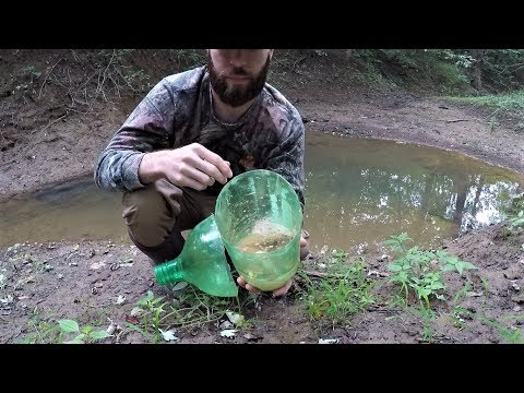 Видео: Самодельная ловушка для пескарей — ловля пескарей в TINY CREEK