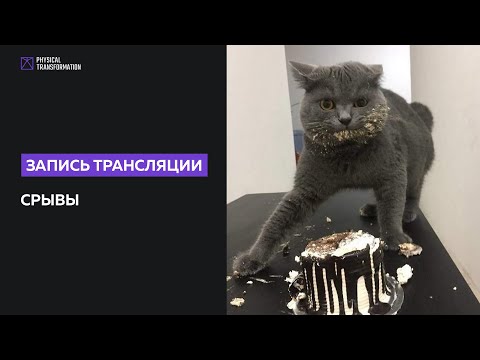 Видео: Почему бывают срывы на диете и как с этим бороться?