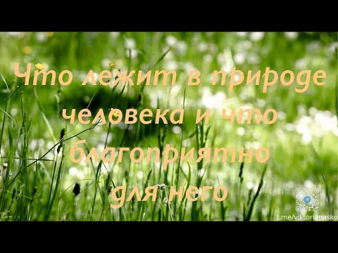 Видео: Что лежит в природе человека и что благоприятно для него