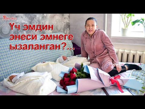 Видео: Үч эмдин энеси эмнеге ызаланган?... |Кыргыз Туусу
