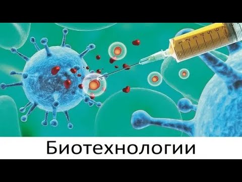 Видео: Сыр, хлеб и вино (биотехнологии)