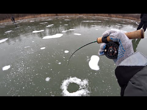 Видео: Щедрый ПЕРВЫЙ ЛЁД НА ЛЕСНОМ ОЗЕРЕ! Ловля щуки на балансир и жерлицы. Зимняя рыбалка 2021-2022.