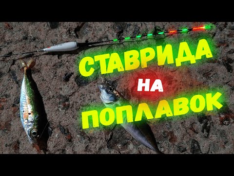 Видео: СТАВРИДА на поплавок! Поклёвки одна за другой!!! Просто мечта, а не рыбалка!!!