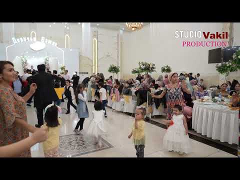 Видео: Лаккон