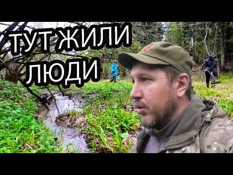 Видео: КОП НА ПОЛЯНКЕ В ЛЕСУ ГДЕ КОГДА ТО ЖИЛИ ЛЮДИ. КЛАДОИСКАТЕЛЬ РУСЯ.