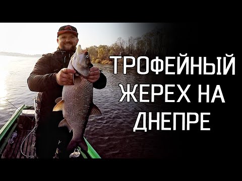 Видео: ЗА ТРОФЕЙНЫМ ЖЕРЕХОМ НА ВЕРХНИЙ ДНЕПР! Рыбалка на спиннинг 2019