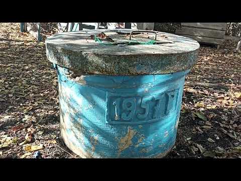 Видео: Как мы собирали грецкие орехи