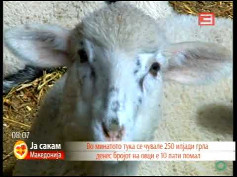 Видео: Овче Поле.Македонија.Ја сакам Македонија.
