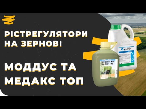 Видео: НАЙБЕЗПЕЧНІШІ РІСТРЕГУЛЯТОРИ: МОДДУС ТА МЕДАКС ТОП