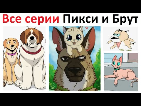 Видео: Пикси и Брут все серии в озвучке Макса Максимова и Алёны