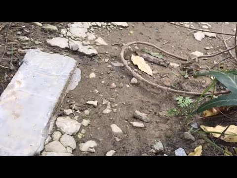 Видео: Проблемный грунт! (Последняя часть) установил стену на сваю часть 9 финал🔥