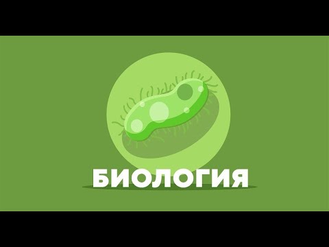 Видео: 5 класс биология урок 13 Характеристика царства Растения. Особенности водорослей и лишайников