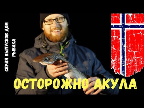 Видео: Рыбалка в Норвегии!ОСТОРОЖНО АКУЛА!Как мы поймали акул в Норвегии!удачная рыбалка! Дом рыбака