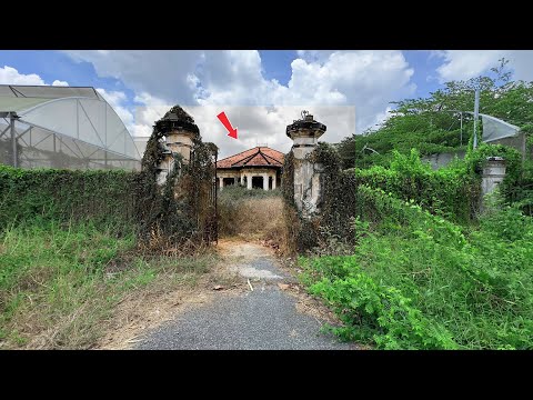 Видео: Возрождение 50-летнего заброшенного дома — превращение руин в шедевры