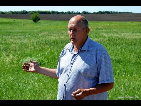 Видео: Технология No-Till.  Личный опыт Потапова С.Г.