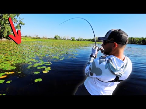 Видео: Вы больше никогда не будете ловить рыбу так же, как раньше