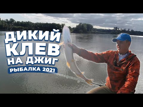 Видео: Дикий клев на джиг. Рыбалка 2021
