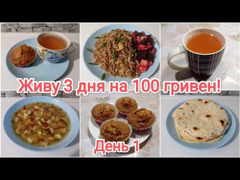 Видео: Живу 3 дня на 100 гривен! День 1