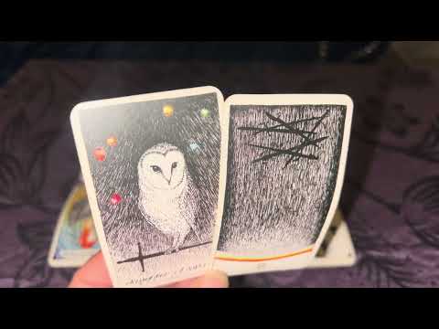 Видео: Дева: Химия и страсть будут всегда.