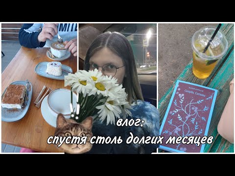 Видео: Влог: спустя долгие месяцы...