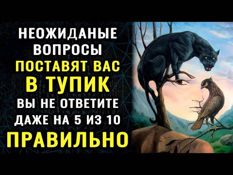 Видео: Интересный ТЕСТ НА ЭРУДИЦИЮ И КРУГОЗОР! Насколько вы умный?