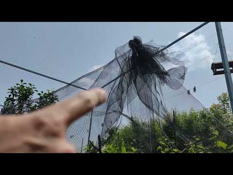Видео: АНТИГРАДОВАЯ СЕТКА монтаж // Hail protective netting