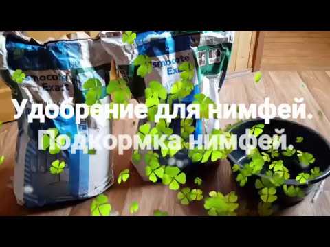 Видео: Удобрение для нимфей, кувшинок и водных растений. Подкормка нимфей, кувшинок. Уход за нимфеями