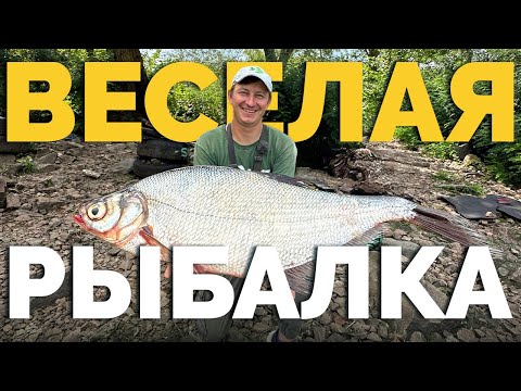 Видео: ⚠️ Рыбака на ГАЗЕ❗️Клев лещей в разгаре 😁 Успей на рыбалку❗️Рыбалка 2024