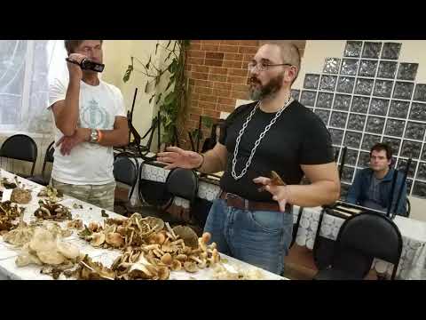 Видео: О смертельной опасности свинушки тонкой (Михаил Вишневский).