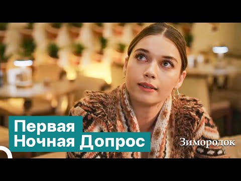 Видео: У Тебя Есть Счет, Который Ты Можешь Дать! | Зимородок