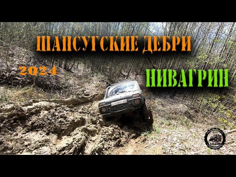 Видео: полная гонка по "легенде" НИВАГРИН ШАПСУГСКИЕ ДЕБРИ ВЕСНА 2024