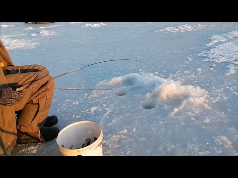 Видео: Зимняя рыбалка на камбалу. Рыбалка в Тавричанке. Рыба есть, потихоньку клюёт. Рыбалкой доволен.