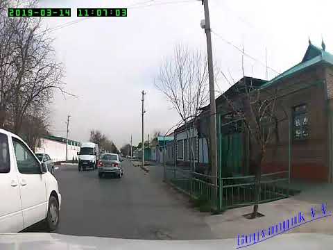 Видео: 03.04.2019г. Ашхабад. Хитровка, у-ца Щорса.